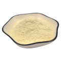 High quality helps in weight loss probiotic freeze-dried powder Bifidobacterium Longum